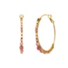 Sale Iancura hoop earrings - roses Percées / Tiges